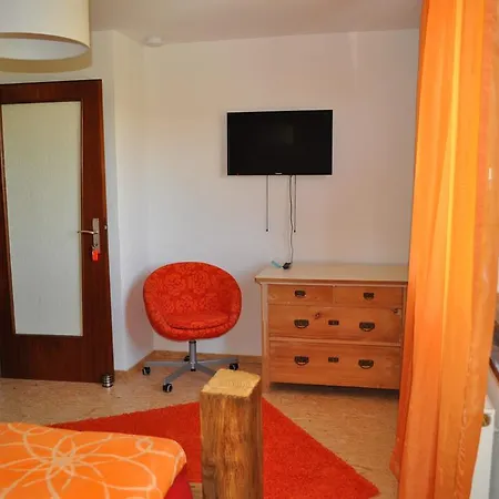 Punkrock Harbour Baehr