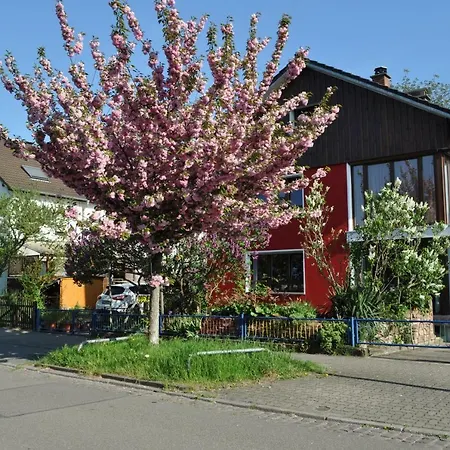Punkrock Harbour Baehr *