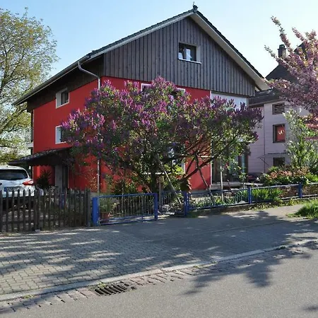 Punkrock Harbour Baehr