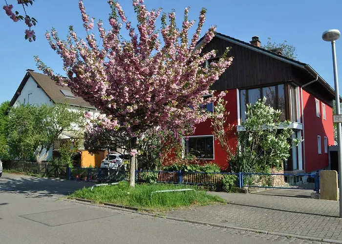 Punkrock Harbour Baehr *